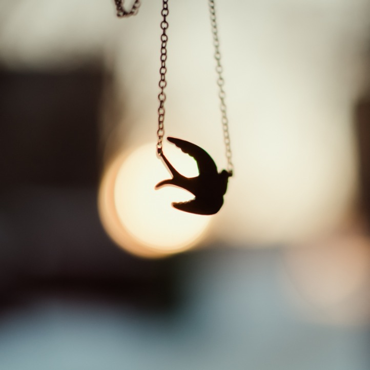 A bird-shaped pendant hanging from a thin chain against a softly blurred background with warm light behind it.